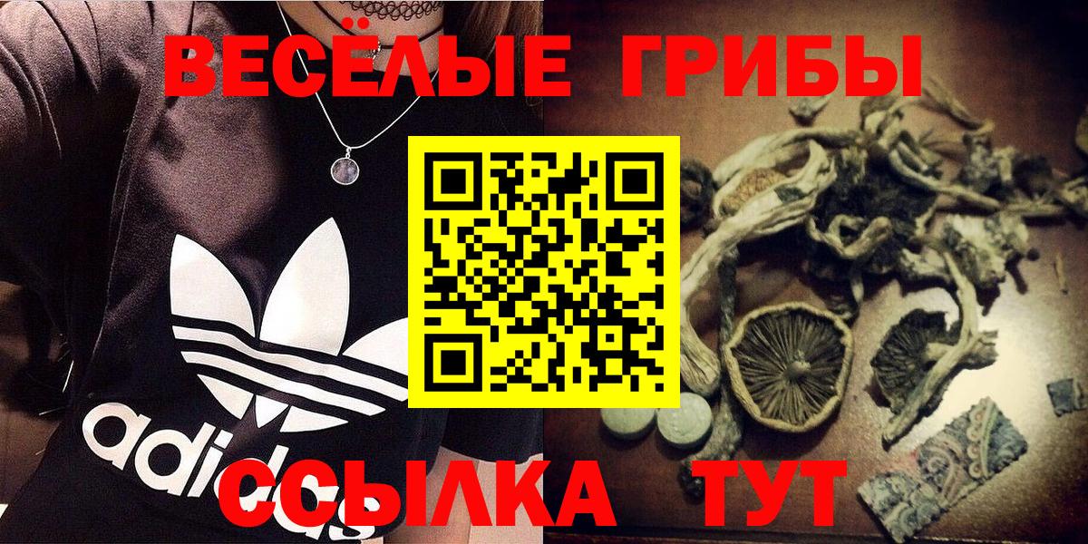 Галлюциногенные грибы Psilocybine cubensis  Вход с VPN  купить наркотики сайты  Бор 