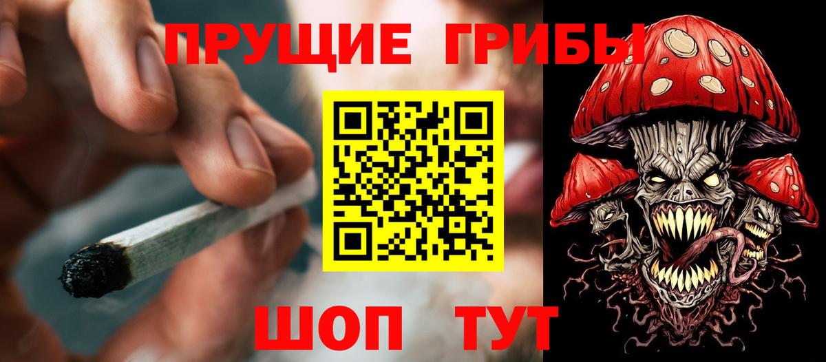Галлюциногенные грибы прущие грибы Бор